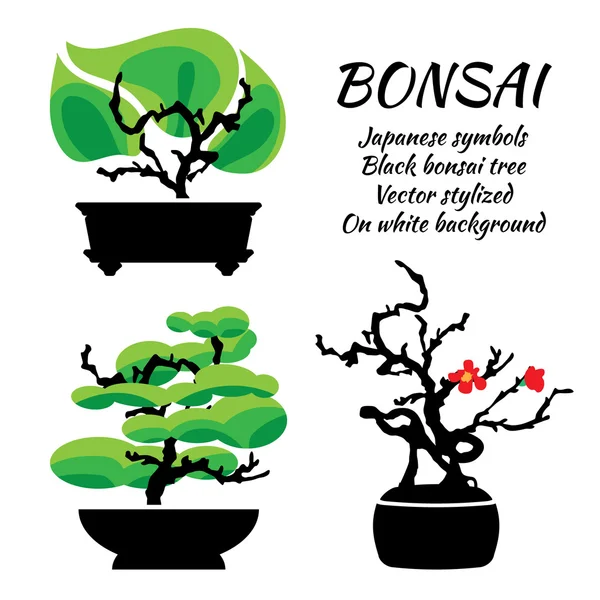 Bonsai, vector set on a white background — Stock Vector