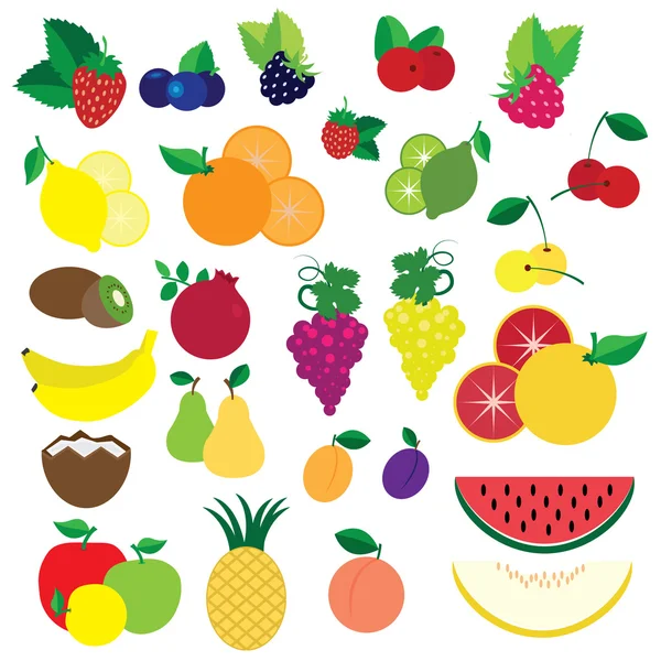 Colorful fruits and berries vector — Stock Vector