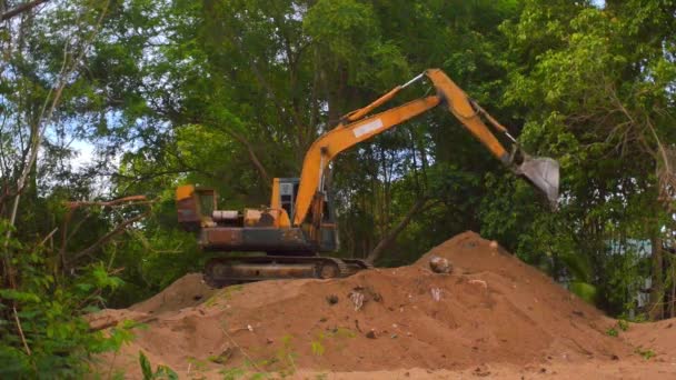 Excavator Working — Stock Video