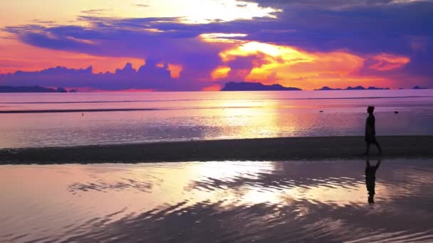 Chica va a lo largo de la playa — Vídeos de Stock