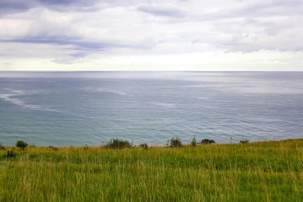 Brant gräsbevuxna stranden vid havet — Stockfoto