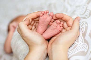 Yeni doğmuş bir bebeğin bacakları beyaz arka plandaki ebeveynlerin ellerinde. Yeni doğmuş bir bebeğin küçük bacakları büyük bir eldeki bir yetişkinin elinde. Yeni doğmuş bebek ayakları, annesinin ellerinde, arka planda hafif bir battaniye üzerinde..