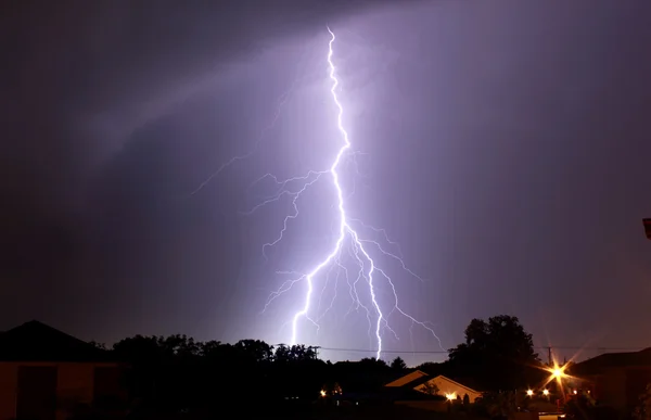 Strom — Stock fotografie