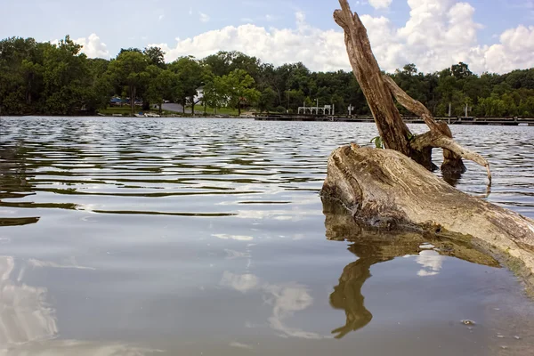 Rio e lago — Fotografia de Stock