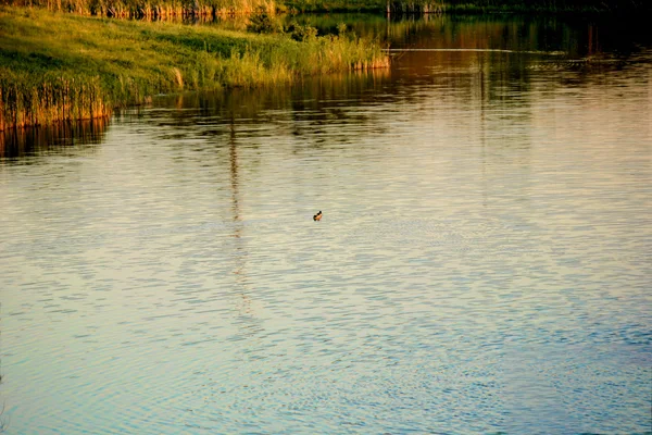 River ve göl