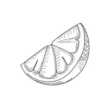 Beyaz arka planda çizim, mürekkep, çizgi sanatı, vektör illüstrasyon greyfurt veya portakal dilimi çizimi..