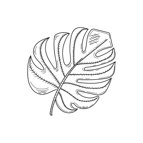 Рисунок Гравировка Чернила Линейное Искусство Векторная Иллюстрация Лист Тропического Растения — стоковый вектор