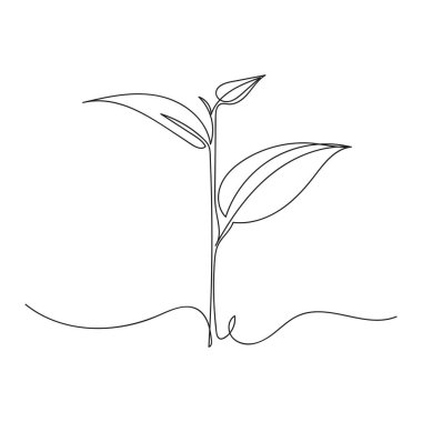 Beyaz arka planda sürekli olarak yaprak bitkisi eko konseptini çiziyor. Doğrusal biçimlendirilmiş.