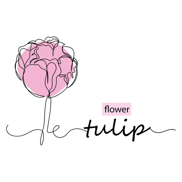 Nepřetržitá Jednořádková Kresba Tulipánového Květu Siluetě Bílém Pozadí Lineární Stylizované — Stockový vektor
