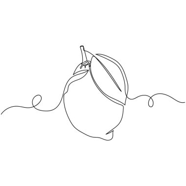 Beyaz arka planda yapraklı limonlu turunçgillerden oluşan sürekli bir çizim. Doğrusal biçimlendirilmiş.