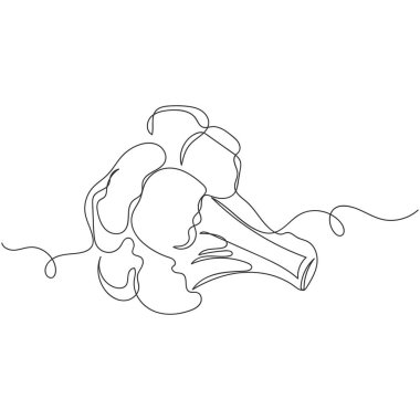 Beyaz arka planda siluette taze brokoli lahanası çizimi. Doğrusal biçimlendirilmiş.