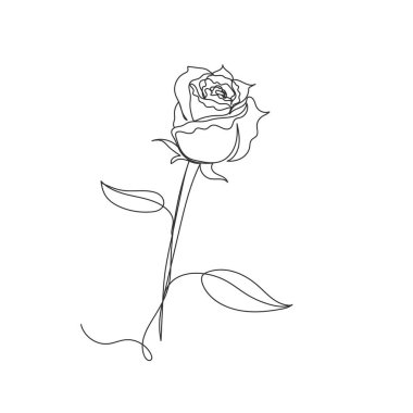 Beyaz arka planda güzel bir gül çiçeğinin sürekli tek bir çizgisi var. Doğrusal biçimlendirilmiş.