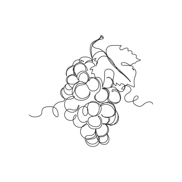 白を基調としたシルエットで房をぶら下げているブドウの一本一本の線画アイコンを連続ベクトル 線形形式 — ストックベクタ