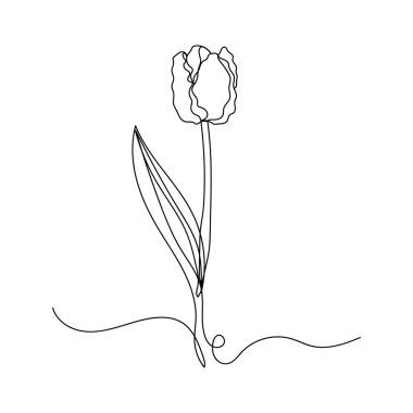 Beyaz bir arkaplana lale çiçeğinin siluetini çizen tek bir çizginin sürekli temsilcisi. Doğrusal biçimlendirilmiş.