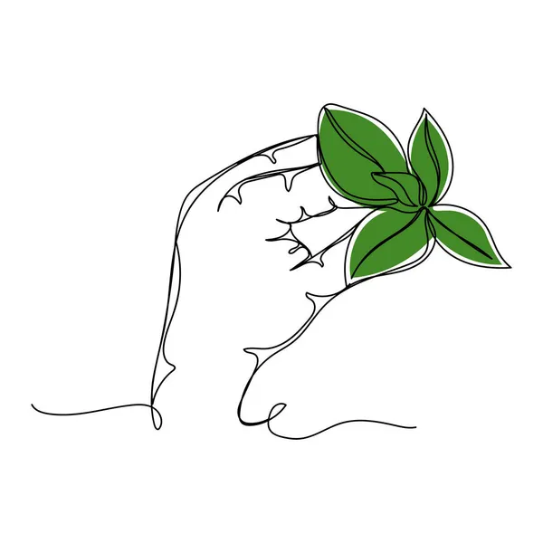 Вектор Непрерывный Одной Линии Рисунок Иконки Растительного Базилика Руке Силуэт — стоковый вектор