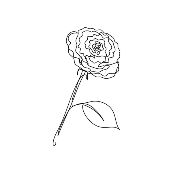 Vector Continuous One Single Line Drawing Icon Rose Flower Silhouette — Stock Vector