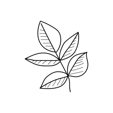 Beyaz arkaplanda siluet çiziminde yaprak simgesini sürekli olarak çizen vektör. Doğrusal biçimlendirilmiş.