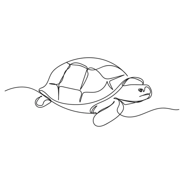 Teknős rajz Stock vektorok, Teknős rajz Jogdíjmentes illusztrációk ...