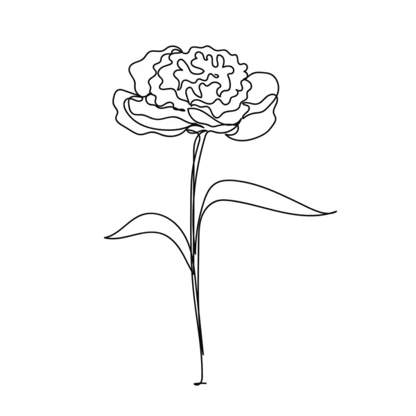 Kontinuální Jedna Jednoduchá Abstraktní Kresba Jednokvěté Ikony Pivoňky Siluetě Bílém — Stockový vektor