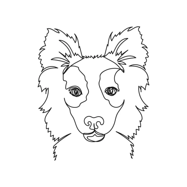 Continuous One Simple Single Abstract Line Drawing Border Collie Dog — Stock Vector