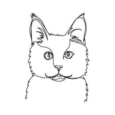 Beyaz bir arkaplanda gölgede Maine Rakun Kedisi ikonunun portresini çizmeye devam et. Doğrusal biçimlendirilmiş.