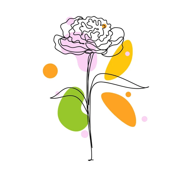 Kontinuierliche Einfache Abstrakte Linienzeichnung Der Pfingstrose Mit Einer Einzigen Blume — Stockvektor