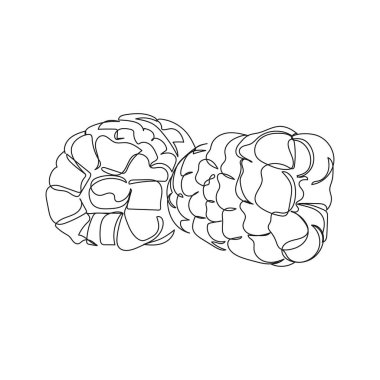 Beyaz arka planda ahududu meyve ikonunun sürekli tek bir soyut çizimi. Doğrusal biçimlendirilmiş.