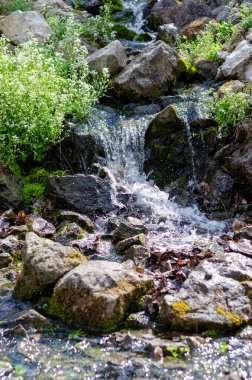 Parkta küçük bir şelale.