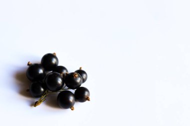 Beyaz arkaplanda kuşüzümü ve metin için boşluk