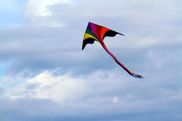 Pipa colorida no céu — Fotografia de Stock