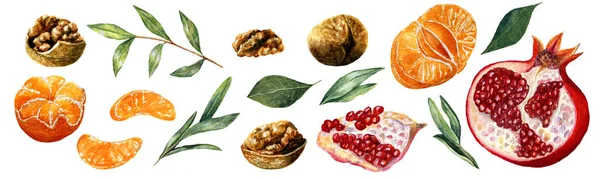 Aquarel Fruit Noten Set Verzameling Van Natuurlijke Organische Elementen Walnoten — Stockfoto