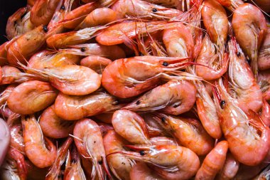Karadeniz'den karides