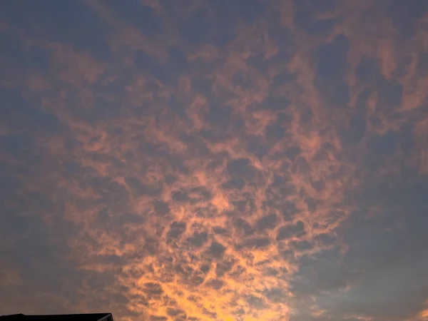 Чудовий Приглушений Рожевий Оранжевий Синій Схід Сонця Околиці Орландо Флорида — стокове фото