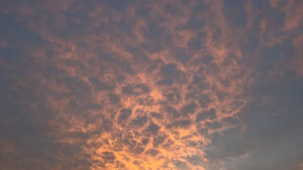 Hermoso Amanecer Rosado Anaranjado Azul Vecindario Orlando Florida —  Fotos de Stock