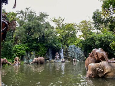 Orlando, FL USA - 28 Aralık 2019: Orlando, Florida 'daki Walt Disney World Magic Kingdom' da Orman Gezisi.