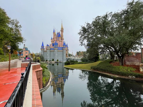 2021年1月23日 美国佛罗里达州奥兰多 位于佛罗里达州奥兰多的迪斯尼世界魔法王国的一个池塘 — 图库照片