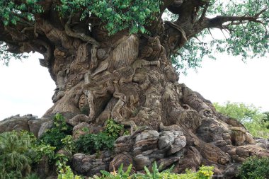 Orlando, FL USA - 12 Mayıs 2019: Orlando, Florida 'daki Walt Disney World' de Hayvan Krallığı 'nda Yaşam Ağacı.