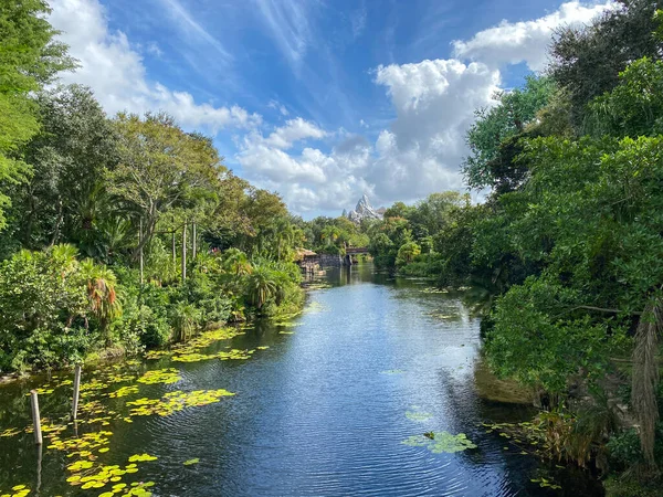 フロリダ州オーランド 2020年11月6日 フロリダ州オーランドのウォルト ディズニー ワールドでの美しい風景 — ストック写真