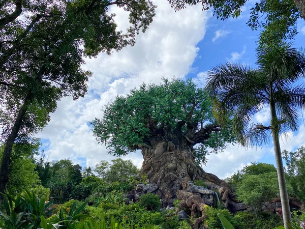 Orlando Julio 2020 Árbol Vida Animal Kingdom Walt Disney World — Foto de Stock