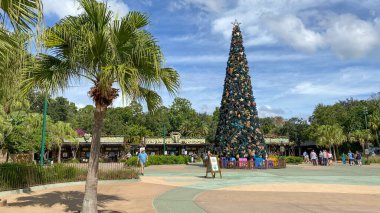 Orlando, FL USA - 6 Kasım 2020: Orlando, Florida 'daki Walt Disney World' de Noel 'de Hayvanlar Krallığı' na giriş.