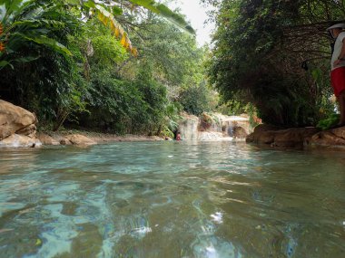 Orlando, FL USA - May 21, 2021:  The lazy river pool and landscaping at Discovery Cove Park in Orlando, Florida.
