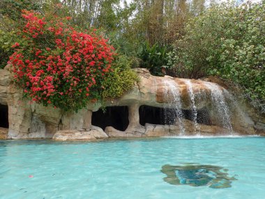 Orlando, FL USA - 21 Mayıs 2021: Orlando, Florida 'daki Discovery Cove Park' taki tembel nehir havuzu ve peyzajı.