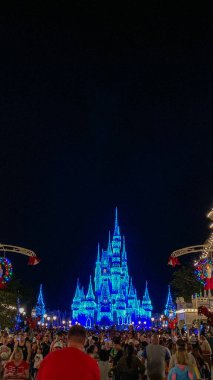Orlando, FL USA-Kasım 278 2019: Havai fişek gösterisinin Orlando, Florida 'daki Disney World' de başlamasını bekleyen insanlar.