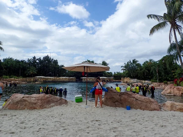 Orlando Usa May 2021 People Particpating Dolphin Encounter Discovery Cove — Stockfoto