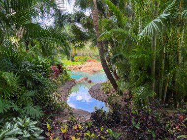 Florida, Orlando 'da güneşli bir günde verimli bir tropikal manzara..