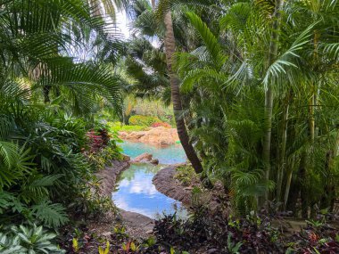 Florida, Orlando 'da güneşli bir günde verimli bir tropikal manzara..