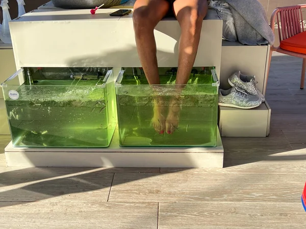 プエルトプラタ 2022年1月10日 タンク内の魚で足をきれいにする女性 — ストック写真