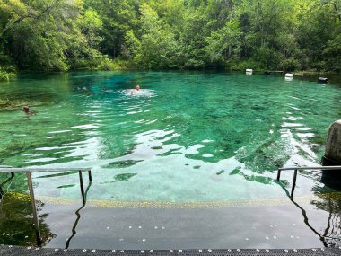 Gainesville, FL USA - 6 Mayıs 2022 Florida Ichetucknee Eyalet Parkı 'nda bahar güneşli bir günde.