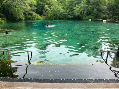 Gainesville, FL USA - 6 Mayıs 2022 Florida Ichetucknee Eyalet Parkı 'nda bahar güneşli bir günde.
