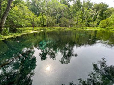 Ichetucknee Eyalet Parkı 'nda bahar güneşli bir günde Florida' da.